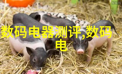 水质检测取样流程从源头到验瓶保卫每一滴清澈的笑容
