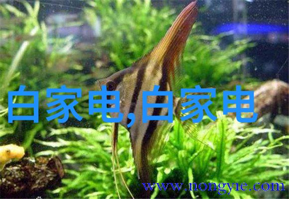 智能制造装备专业毕业生迎新机遇未来就业前景广阔