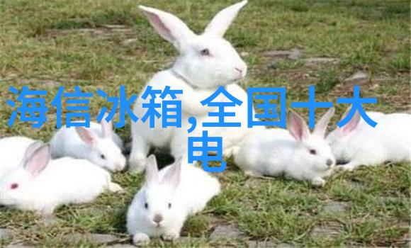 光波炉与微波炉煮饭的科技之争谁能让你的菜肴闪耀星光