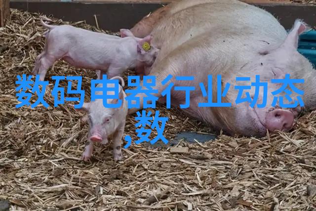 丝网填料技术在油田开发中的应用与挑战