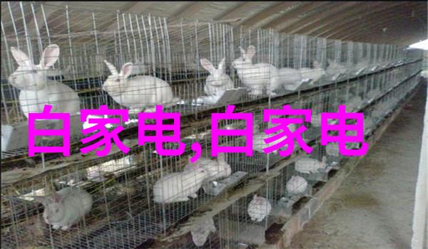 水质分析仪的全能之手揭秘多参数检测的奥秘