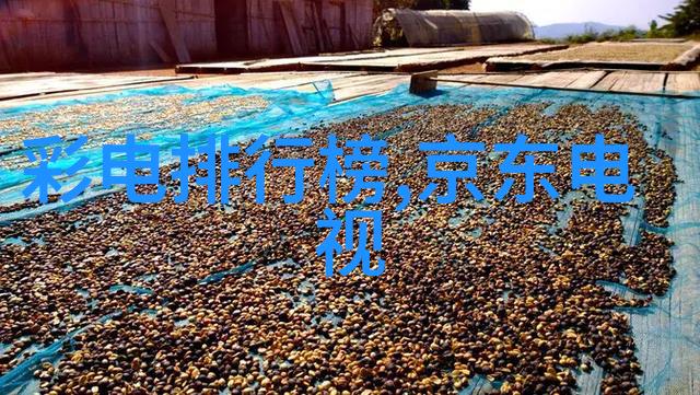 在人工智能领域哪些技能是未来求职者必须掌握的