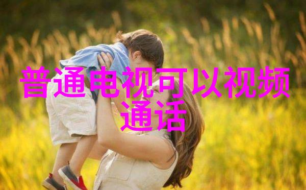 北京高低温试验箱我是如何在家中为我的电子产品打造一个小型高低温实验室的
