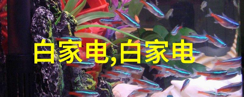 高新技术企业在申请认证时应注意哪些关键点