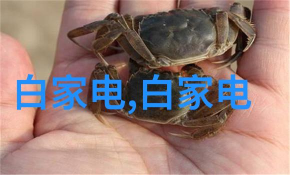 家庭装修公司家居装修 - 家居美学如何选择适合您家的装修风格