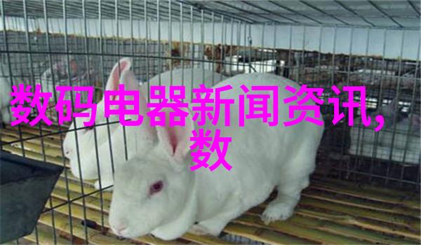 股市智慧红利之城的秘密价值