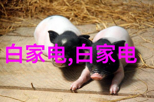 在广东财经大学学习学生能获得哪些实习机会