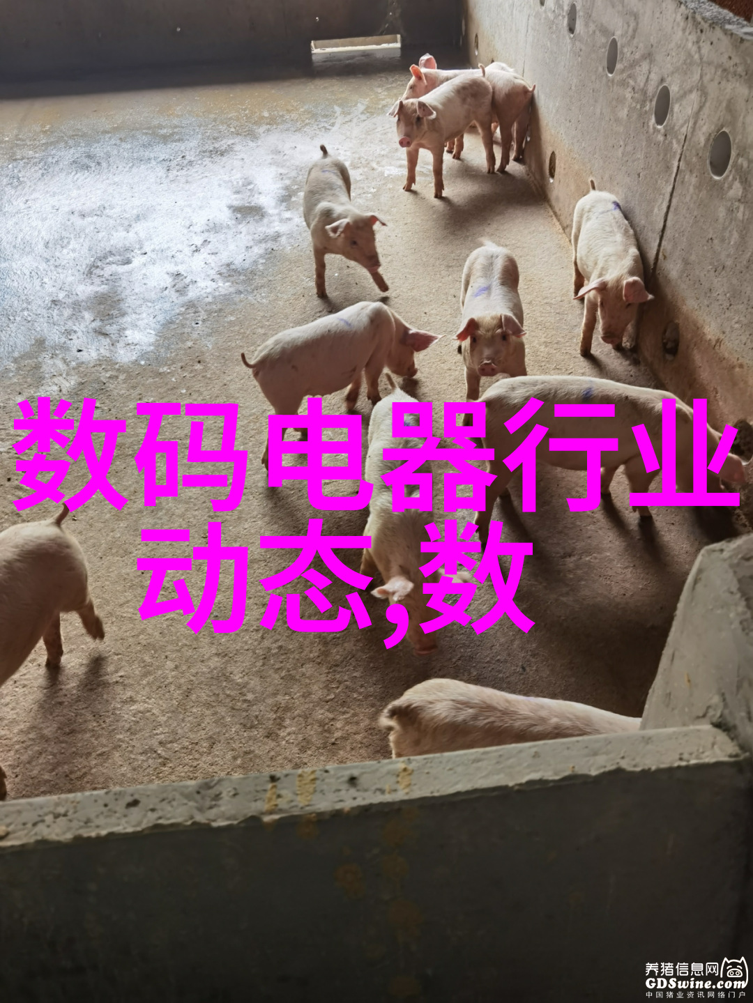 水利建设项目兴起带来的就业机会及挑战讨论