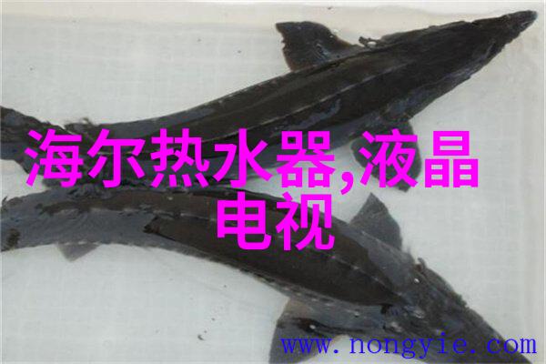 vivo忘记密码了怎么强制刷机-重置密码重新启动vivo手机强制刷机指南