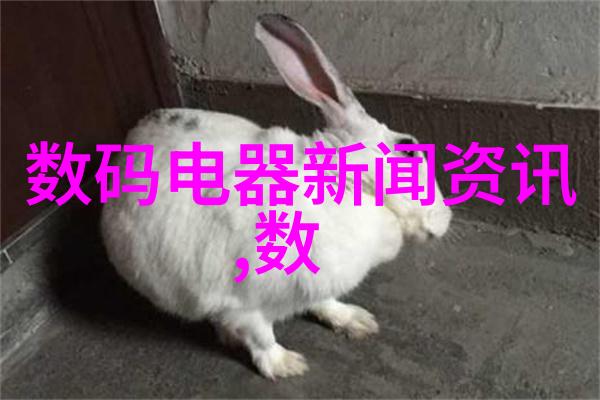 沉默之翼消声器的神秘世界