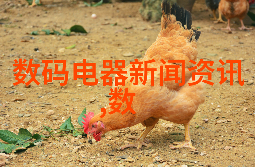 水管批发市场热销迅鹏WPD4四通道数显表精准测量让维修更简单