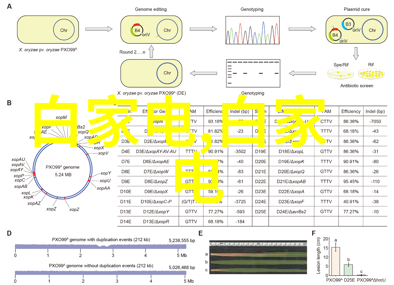 中国智能制造2025新时代产业转型的蓝图与引擎