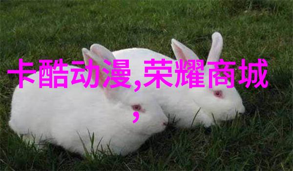 净化与精炼探索净制工艺的艺术与科学