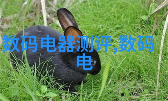 世界上最智能的机器人-智慧之王揭秘全球顶尖AI的神奇创造