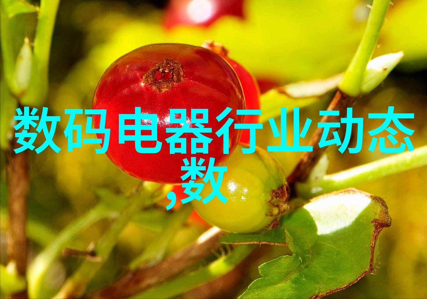 油水分离器内部结构图解析揭秘清洁技术的关键组件