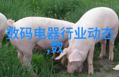 青岛职业技术学院青岛市高等职业教育的亮丽旗舰