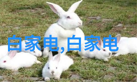 为什么越叫他越快视频网络流行语背后的心理学分析