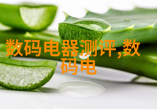 芯片相当于人体的电子大脑微型信息处理中心