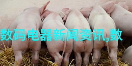 海信液晶电视色彩绽放视觉盛宴