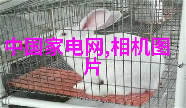 检测水质-如何确保饮用水的安全性一篇全面指南