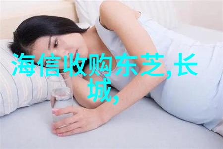 对于国际学生来说该学院提供什么样的留学服务和帮助呢