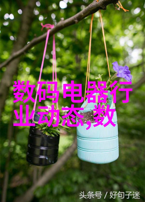 金融市场-上海股市今日走势分析上证指数的涨幅与波动
