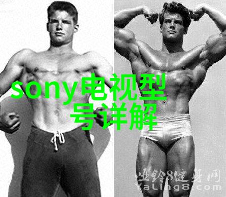客厅餐厅整合式装修设计温馨家居空间的完美融合