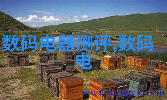 红楼梦中的中式风格探究