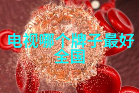 镜头的诗篇十幅捕捉时光的经典瞬间
