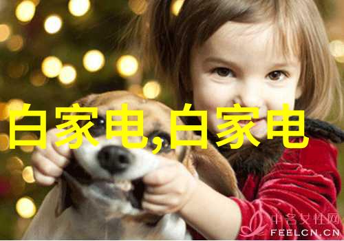 财经大学培养未来经济管理人才的摇篮
