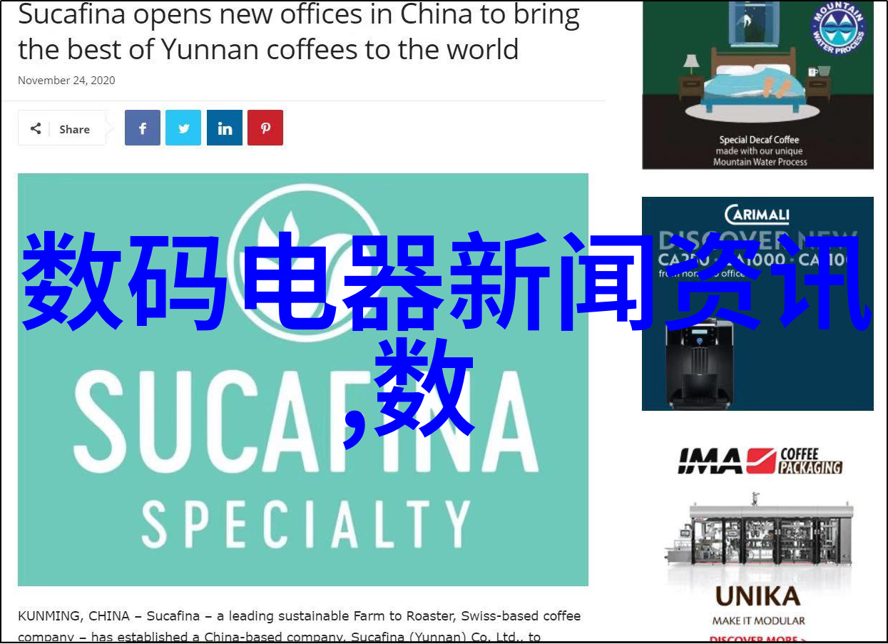 项目立项前期可行性研究报告深入分析项目潜力与风险