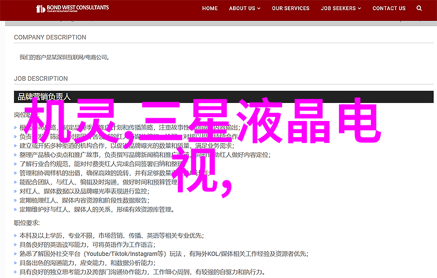 如何编制一份既全面又引人入胜的工作总结报告模板