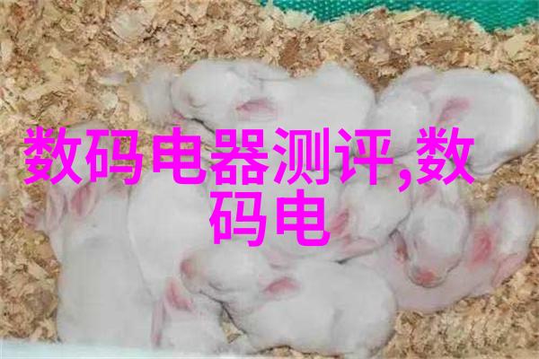 毛坯房设计装修从零到英雄的家居变革