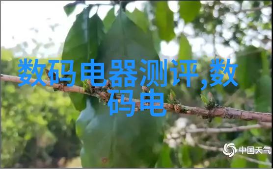主题-舞蹈室里的悲剧小柔的哀嚎