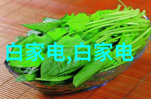 免费电视软件下载全方位解锁无线影音世界
