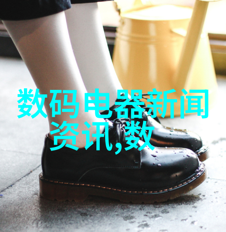屋顶上的秘密雨水的回声与漏水的谜题