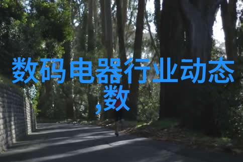 从0到1的奇迹揭秘码农如何量身打造成功
