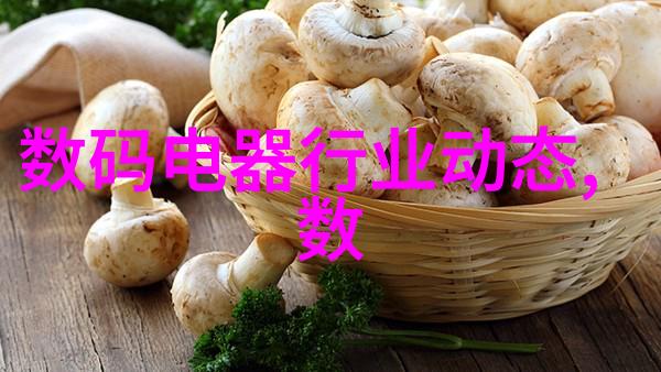 宁波城市职业技术学院培育技能型人才的桥梁与枢纽