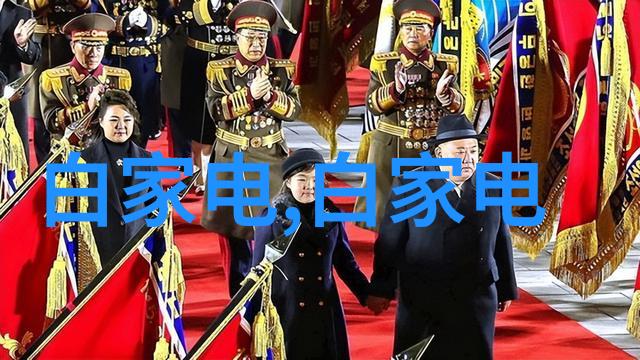 让家园焕然一新探索 北京卫视 装饰改善方法