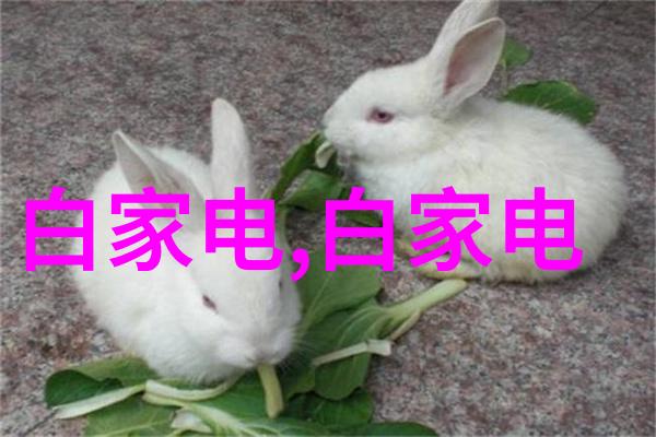 微型奇迹电路芯片的神秘力量