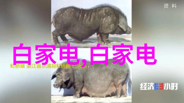 水质分析仪器的真实价格揭秘环境监测行业的市场行情