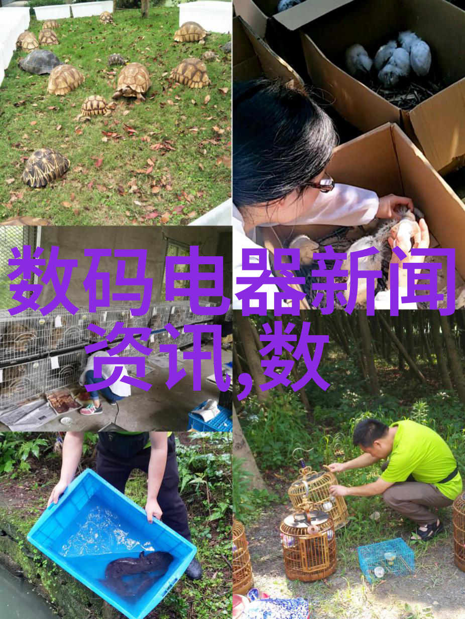 女生是否适合从事水利水电建筑工程探索这一职业的魅力与挑战