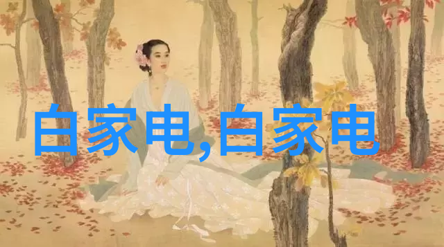 家居美学从设计到装修打造理想的居所空间