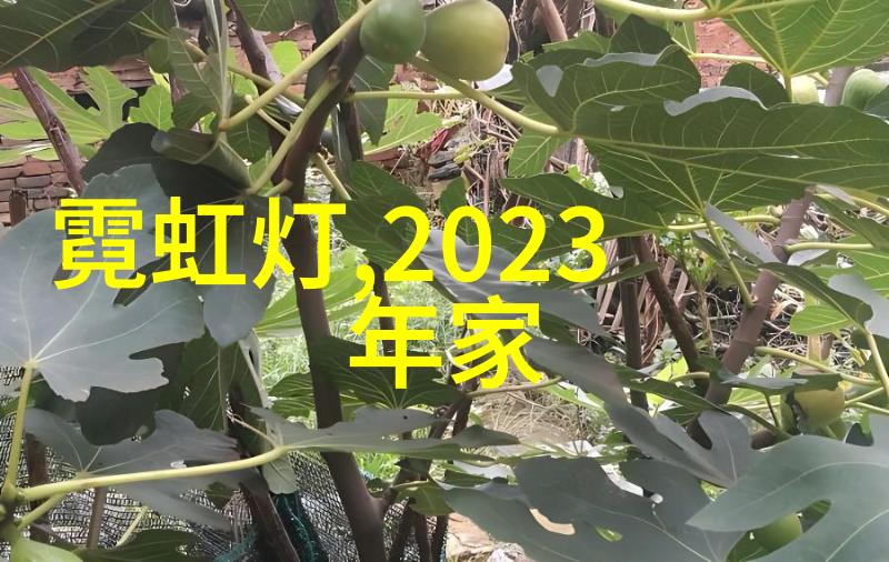 市场调研方法论探究从数据挖掘到洞察力构建