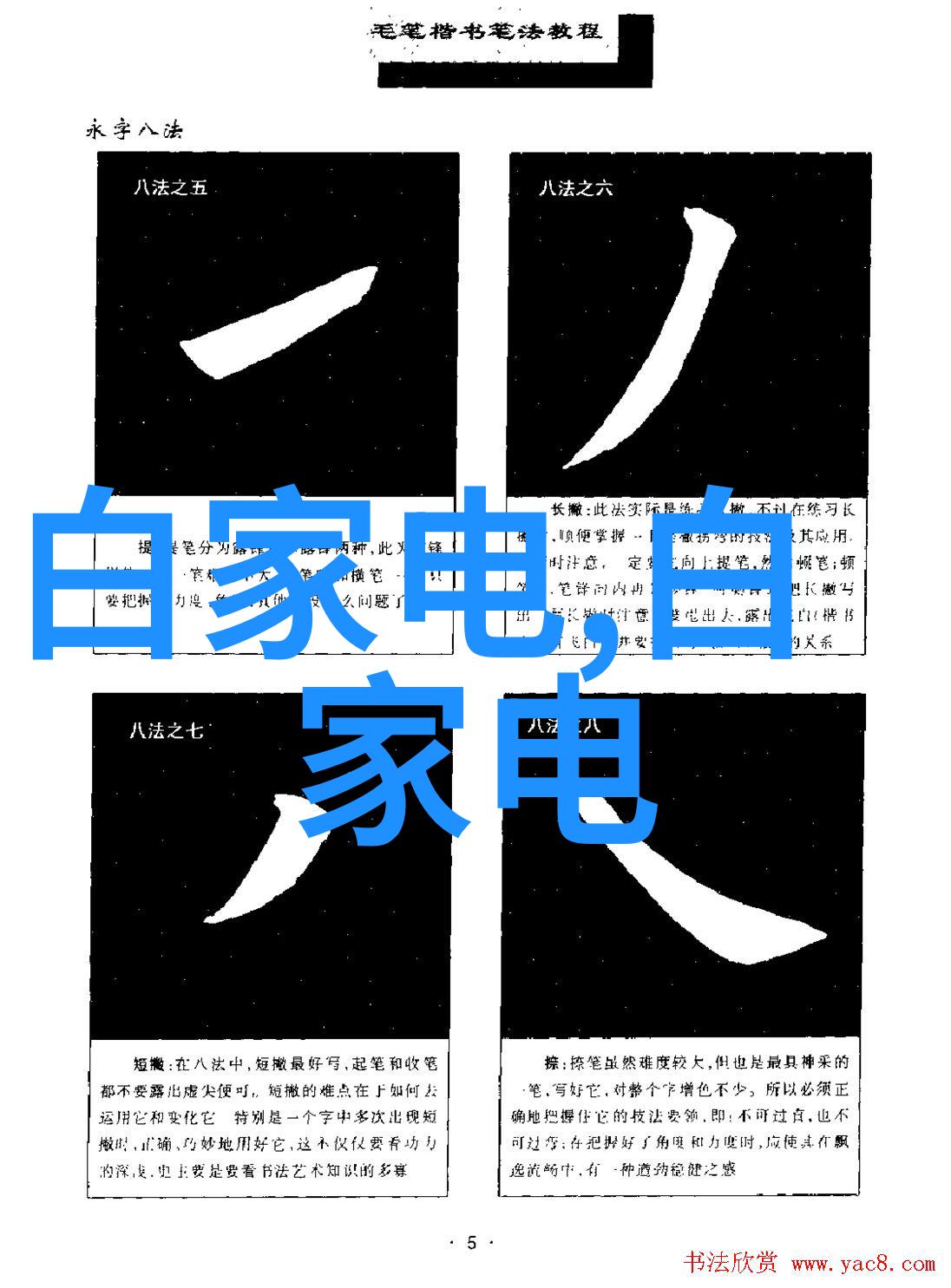 兔宝寶有哪些独特的行为习性