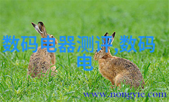 无良王妃我和那心机重重的王妃有个秘密
