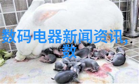 填料在催化剂中的关键作用化学反应效率提升秘诀