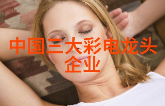 大型净水设备安装流程详解从规划到完工的全方位指南