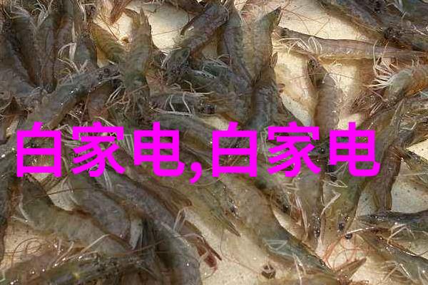 有限责任公司的法律与管理实践