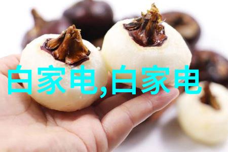 废塑料分选机捡拾垃圾变现金的好办法